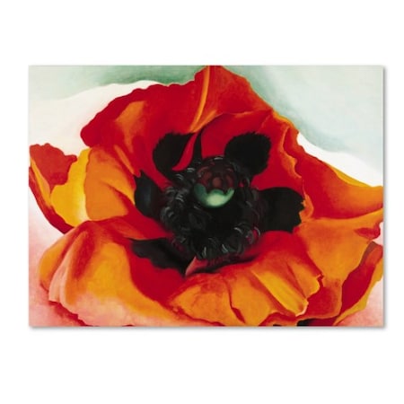 Trademark Fine Art Georgia O'Keefe 'Poppy' Canvas Art, 18x24 ALI10055-C1824GG